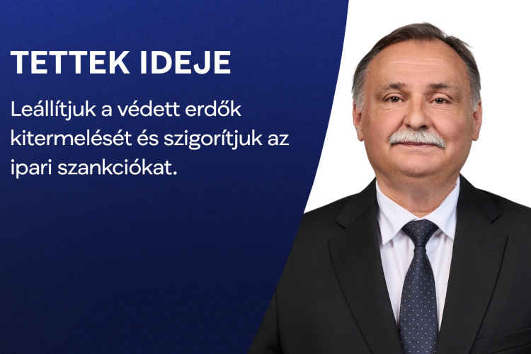 Gajdos László: leállítják a védett erdők kitermelését, és szigorítják az ipari szankciókat