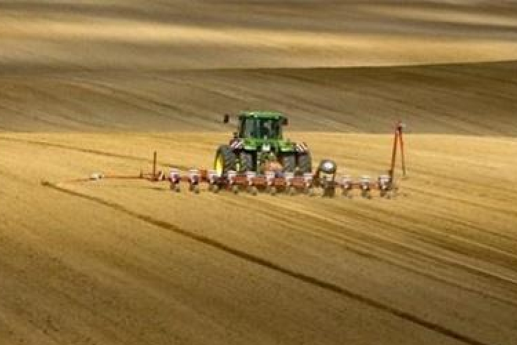 Mattot adtak a zsebszerződőknek