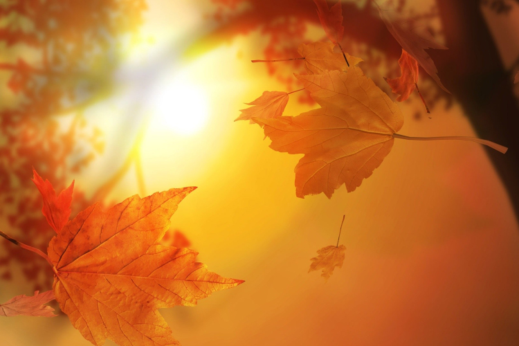 Többfelé lehűléssel kezdődik az ősz