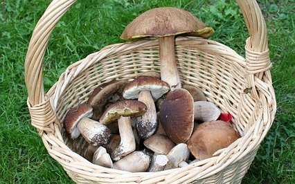 Polgárőrök találták meg az eltűntet