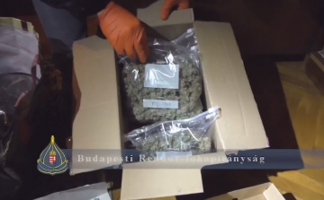 Nagy drogfogás a fővárosban, kiszagolták a rendőrök - VIDEÓ