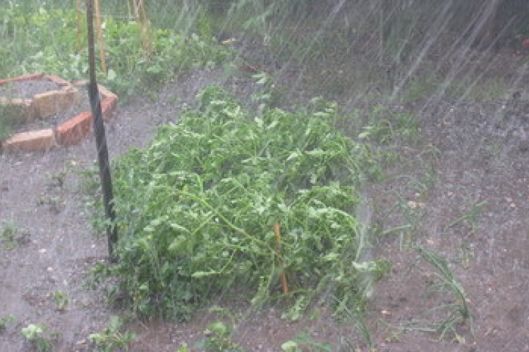 Vihar - Debrecenre lecsapott a vihar