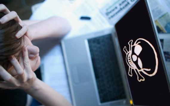 A kínai számítógépek fele vírussal fertőzött