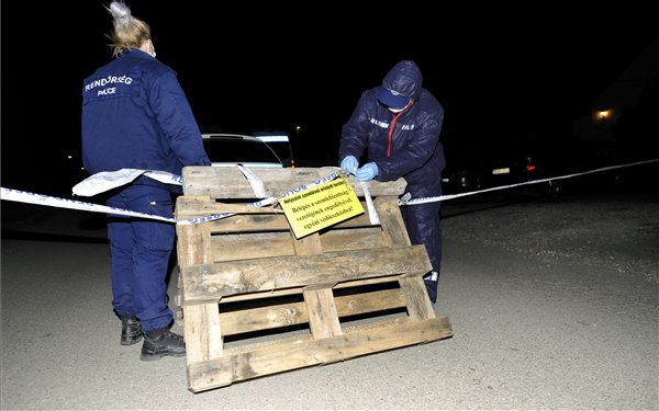 Gyilkosság miatt nyomoznak a Szentendrén talált emberi csontok ügyében