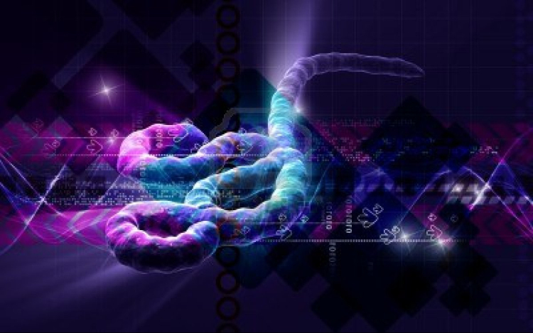 Kísérleti Ebola-gyógyszer menthette meg két amerikai életét