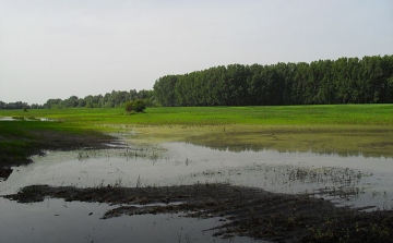 Ezer hektáron van belvíz Veszprém megyében
