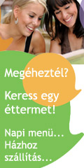 Napi menü 120*240