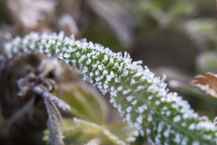 Napos, de hideg idő várható a hét elején